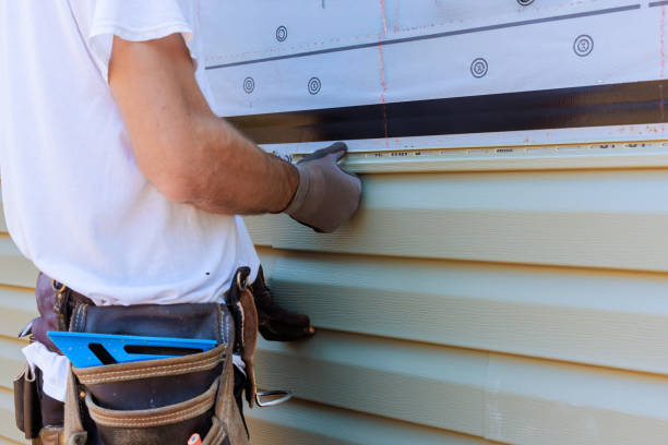 Best Custom Trim and Detailing for Siding  in South Barre, VT